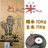 どじょっこ米ちゃんコシヒカリ 10Kg　ロゴ