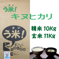 う米 「キヌヒカリ」 10Kg　ロゴ