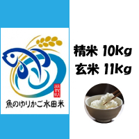 魚のゆりかご水田米・コシヒカリ 10Kg　ロゴ
