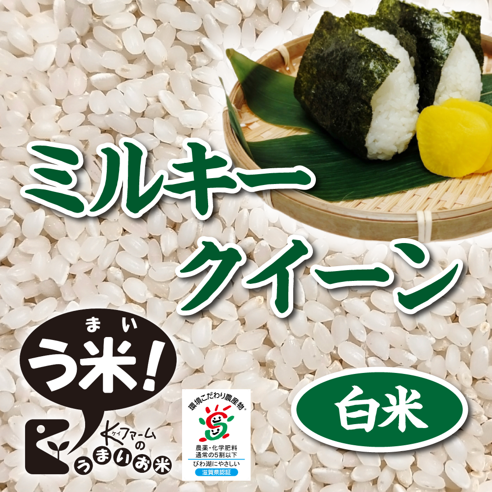 9/1より限定販売開始！【令和7年度産】ミルキークイーン<白米>