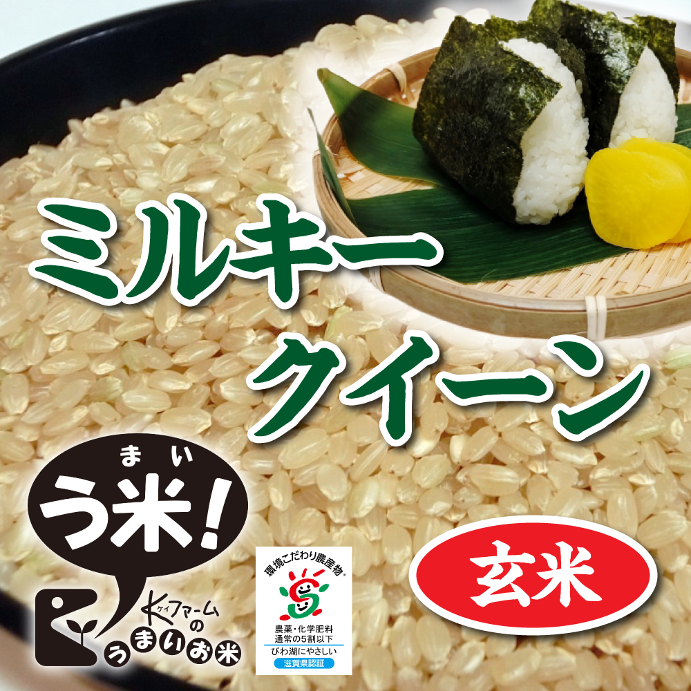 9/1より販売開始！【令和7年度産】ミルキークイーン<玄米>