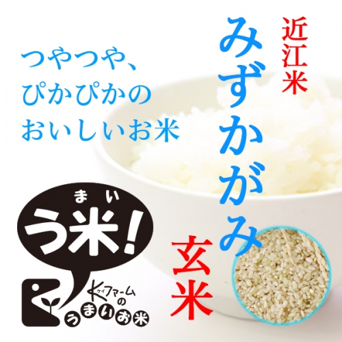 【令和6年度産】みずかがみ<玄米>滋賀県イチオシ