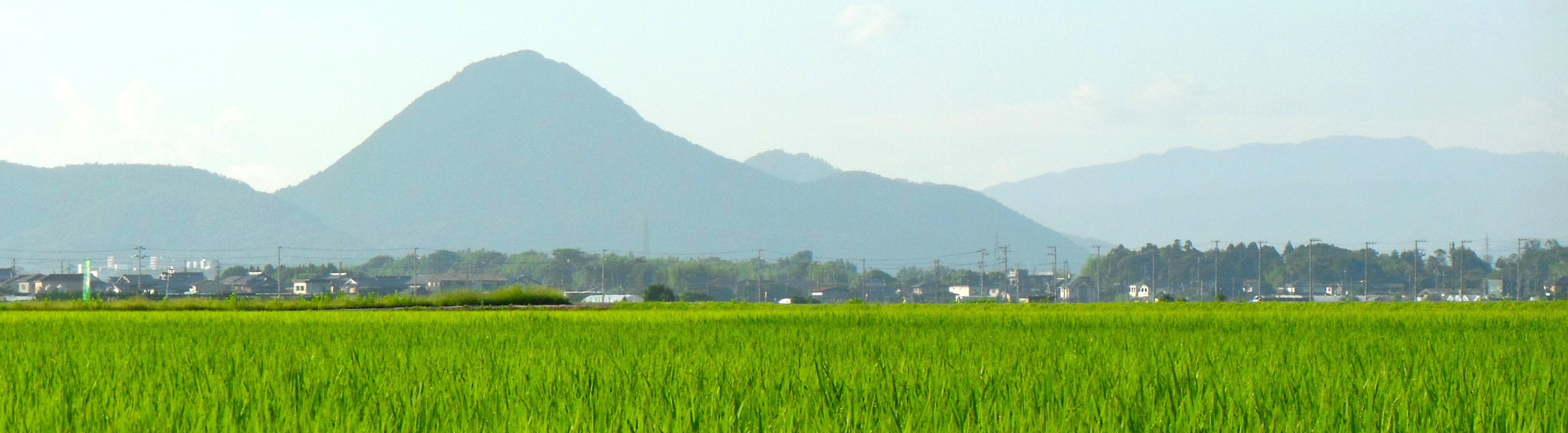 ケイファーム農園風景