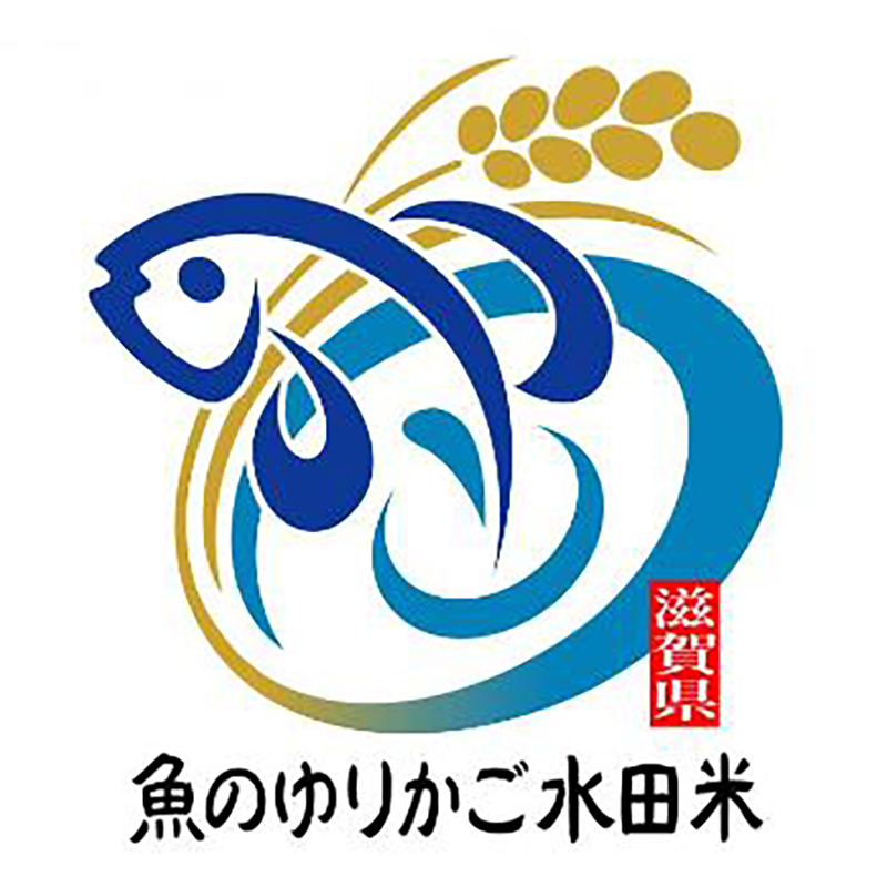 【令和6年度産】魚のゆりかご水田米・コシヒカリ<玄米>