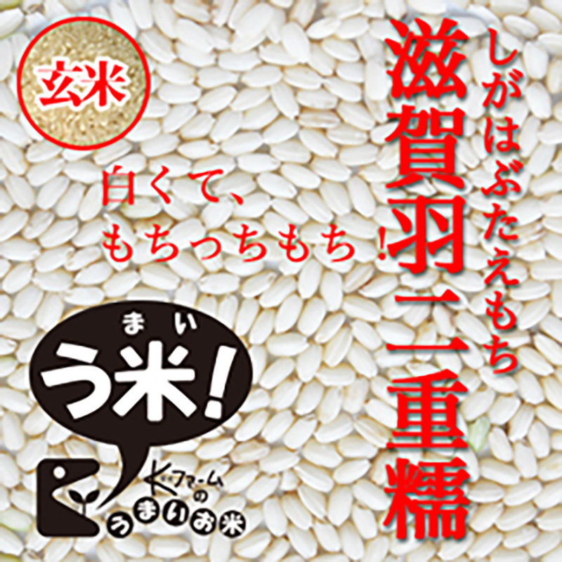 【令和6年度産】滋賀羽二重糯(しがはぶたえもち) もち米の王様<玄米>